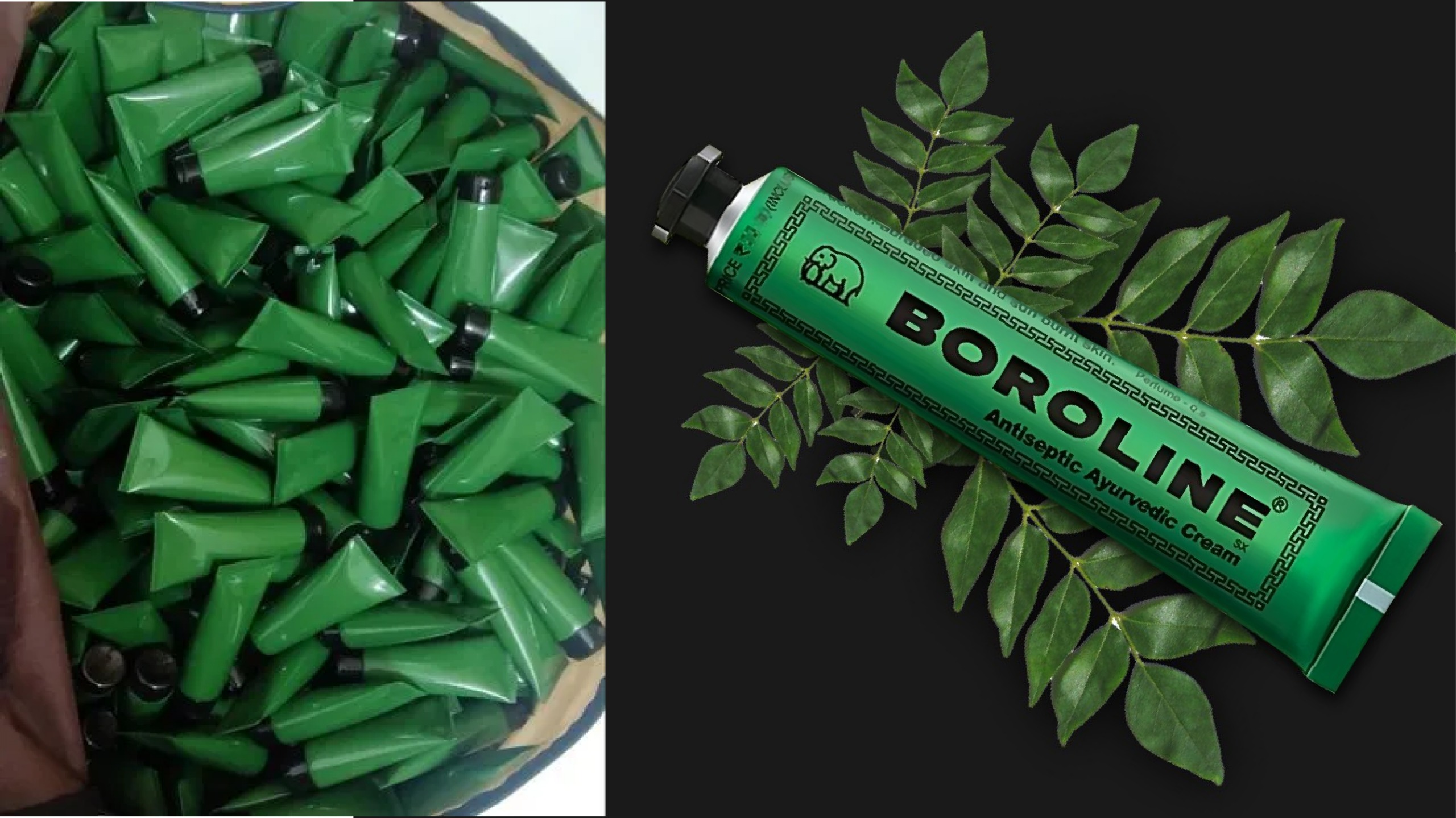 Boroline - Visual Branding